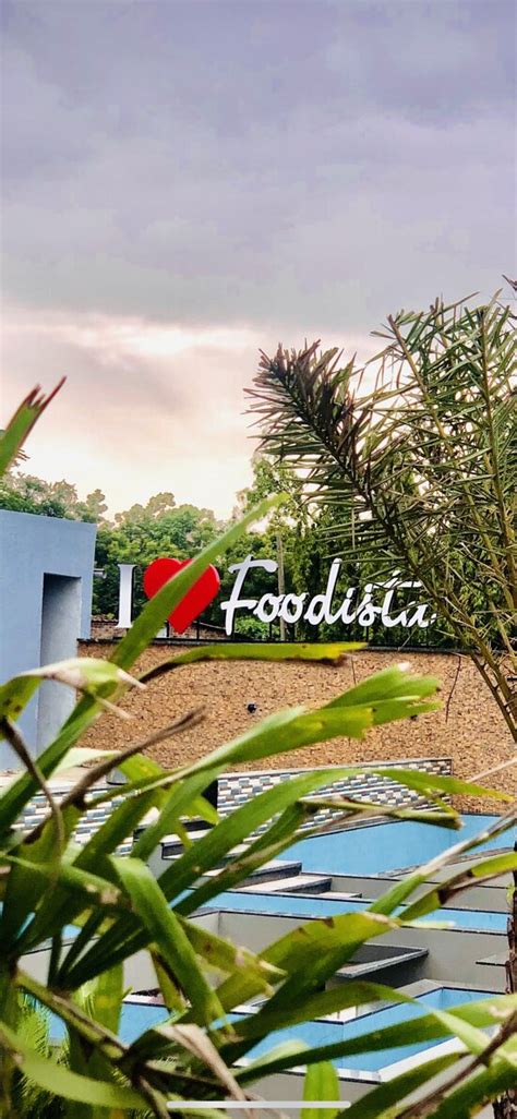 FOODISTA RESTAURANT, Vadodara - Restaurant Reviews, Phone Number ...