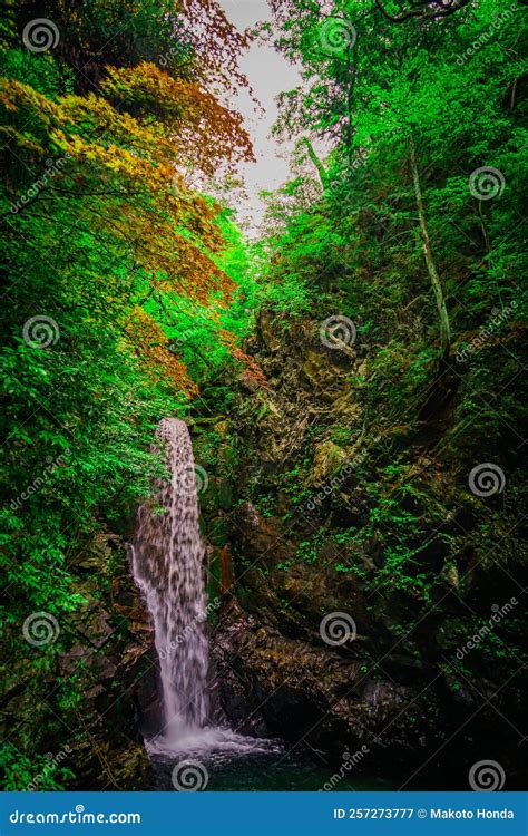 Koga Falls (Kobe City, Arima Onsen) Stock Image - Image of mountains ...
