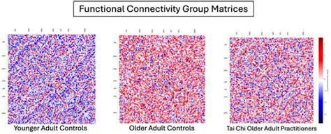 Tai Chi Practice Buffers Aging Effects in Functional Brain Connectivity
