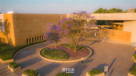 Drone 的图像结果