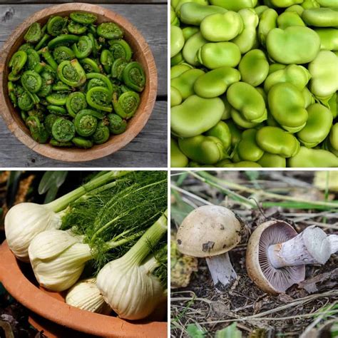 Vegetables Name Start With F at Jean Shinn blog