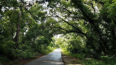 THE BEST Places to Visit in Wekiva Springs (2026)