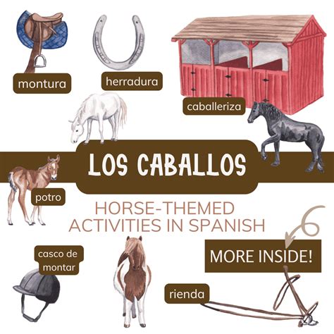 Los caballos: Learn about horses in Spanish - Llamitas Spanish.com