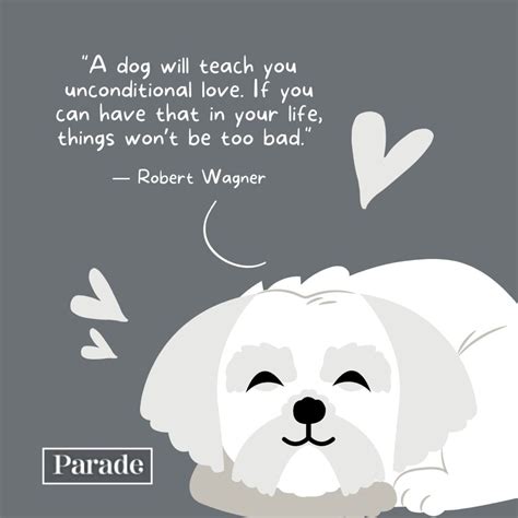 Animal Quotes Love