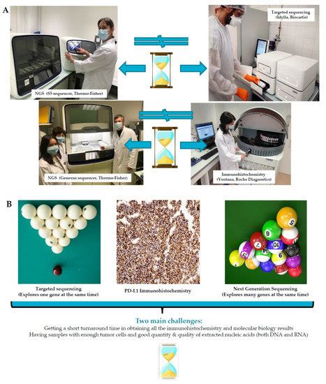 EGFR Status Assessment for Better Care of Early Stage Non-Small Cell ...