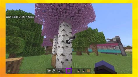 Image result for How to Get a Camera Mod