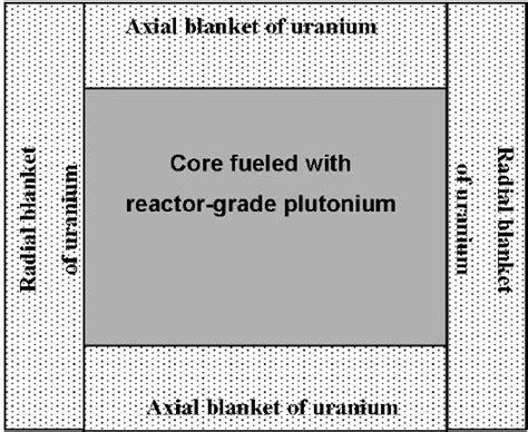 Image result for Plutonium Reactor