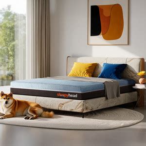 Sleepyhead Laxe - BodyIQ Orthopedic Memory Foam 5 inch Queen Latex Foam ...