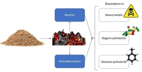 Advances in Cork Use in Adsorption Applications: An Overview of the ...