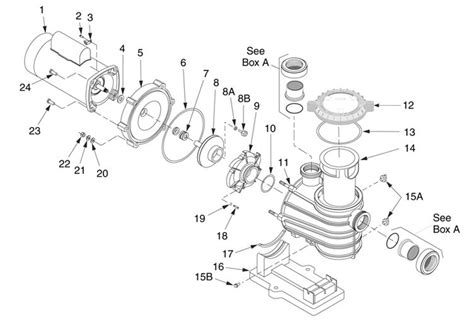 Image result for Replace Motor On Sta-Rite Pool Pump