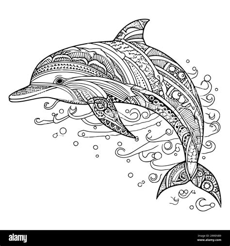 Baby Dolphins Coloring Pages