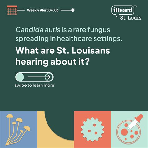 Candida Auris Fungus Spreading in Healthcare Settings | Health ...