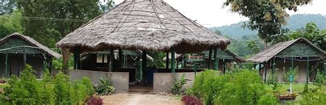 Satkosia Nature Camp | OD Travels