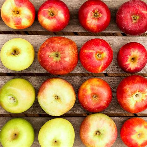 The 8 best types of apples - Ask the Food Geek - types of apples