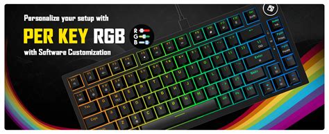Amazon.in: Buy Cosmic Byte CB-GK-43 Phantom TKL Gasket Mechanical RGB ...