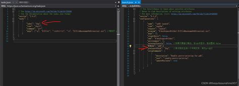 Launch JSON vs Code 的图像结果