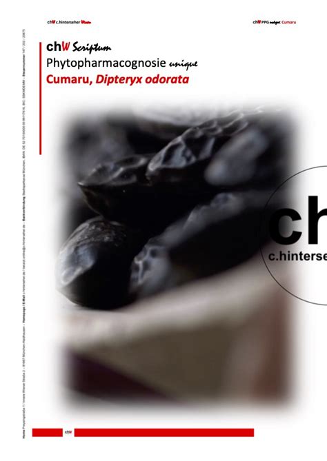 chW SE PPG unique: Cumaru, Dipteryx odorata – C. Hinterseher Wissen