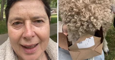 Fails Week January 的图像结果