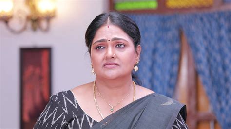 Watch Pandian Stores 2 Episode 309 on JioHotstar