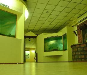 CWRDM | Centre for Water Resources Development and Management