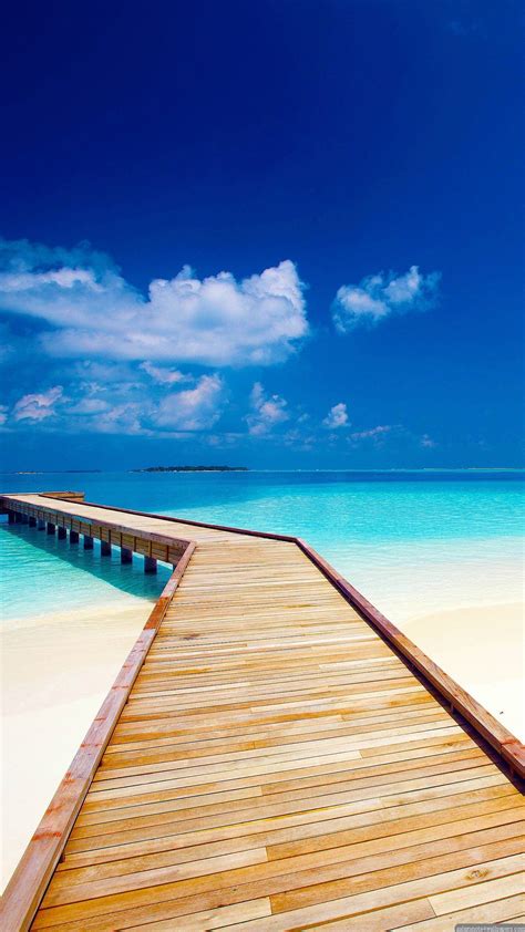 Bing Wallpaper Mobile Phone 的图像结果