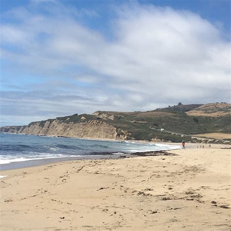 Scott Creek Beach (2026) - All You MUST Know Before You Go (with Reviews)