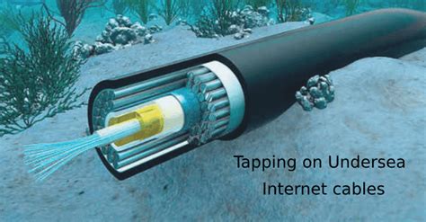 Image result for 1-Wire O2 Sensor Test