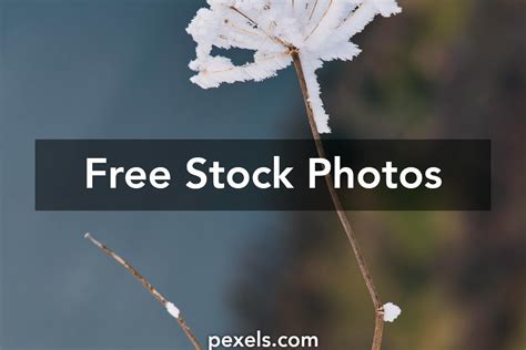 Background Texture Simple Photos, Download The BEST Free Background ...