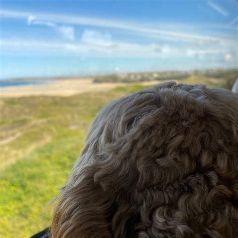 ST Erth Park & Ride (Cornwall) - All You Need to Know BEFORE You Go