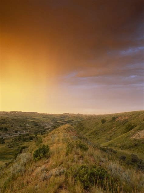 Interesting Facts About The Temperate Grassland Usa Today