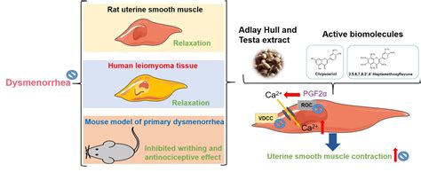 Ethanolic Extracts of Adlay Testa and Hull and Their Active ...