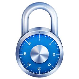 Image result for SSL Padlock Icon