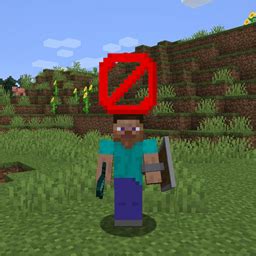 Image result for How to Turn Off Player Names in Minecraft Java