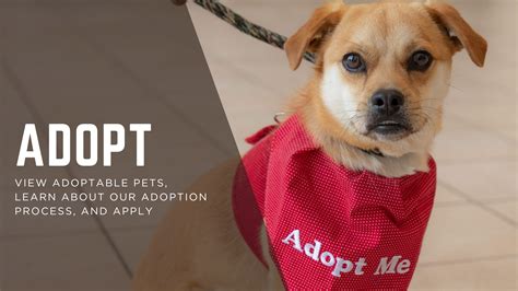 Adopt – Henry County Humane Society