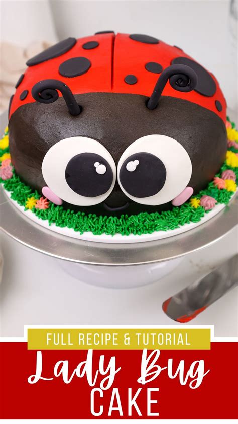 Making a Ladybug Cake 的图像结果