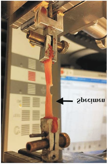 Image result for Mutilate Tissue Sample