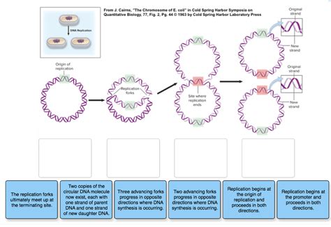 Image result for Bidirectional Replication Simulation
