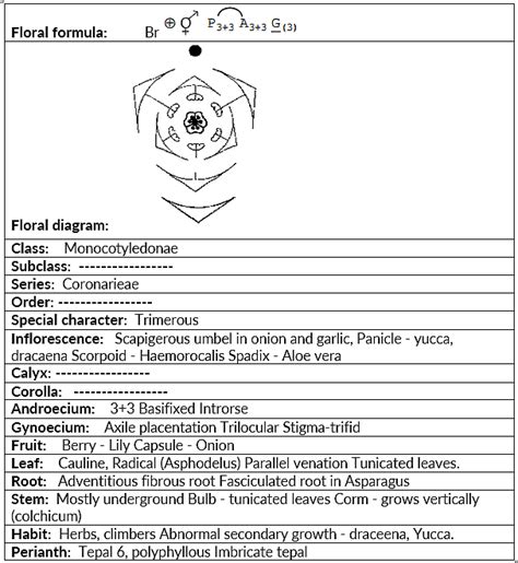 Family Description: Solanaceae, Fabaceae & Liliaceae | Biology Class 11 ...