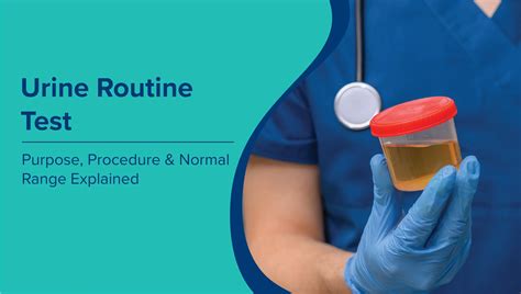 Urine Routine Test: Normal Ranges, Purpose, Procedure & When to Retest ...
