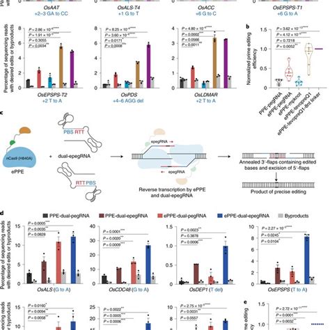 Image result for Prime Editing