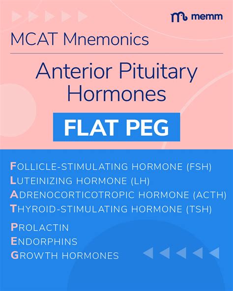 Memm (@memm.io) • Instagram photos and videos