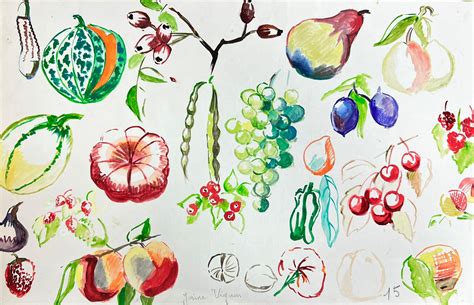 Josine Vignon - Mid Century French Illustration Sketches Of Different Butterflies and Insects ...