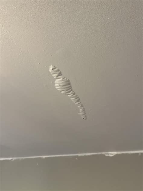 Painting a ceiling with Behr ceiling paint. Random small bubbles ...