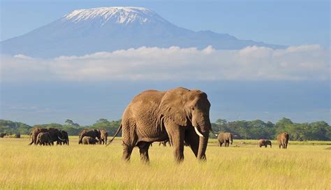 9 Amazing Places To Explore in Kenya - lifeberrys.com