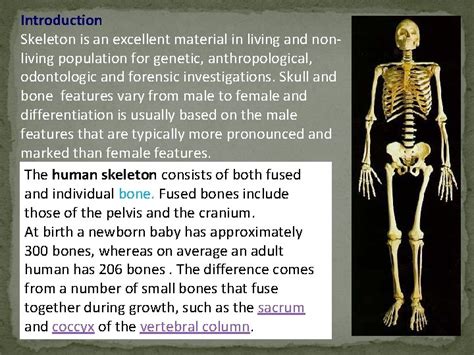Image result for Skeleton Brain Exploding