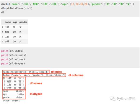 Dataframe Basics 的图像结果