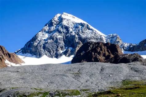 Explore Sandakphu Trek: Guide to West Bengal’s Highest Peak