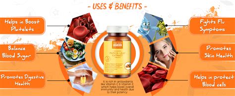 Buy The Old Natural Papaya Leaf Extract Tablets 60 Tablets I papaya ...