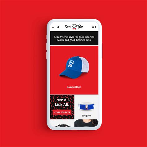 Graphics Example 的图像结果