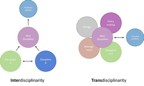 Image result for Explain Transdisciplinary
